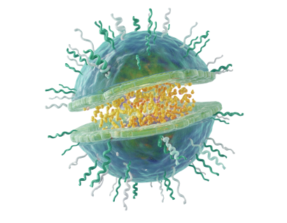 Lipid nanoparticle illustration